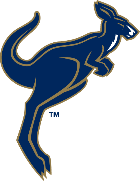 Akron Zips 2002-Pres Alternate Logo diy DTF decal sticker